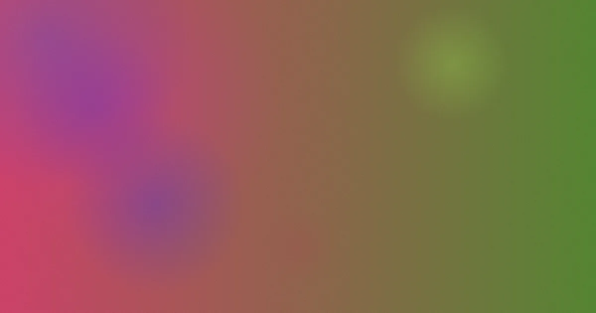 罗马卷推荐：新手照着选不容易错